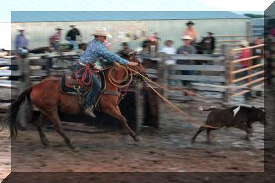 Calf Roping