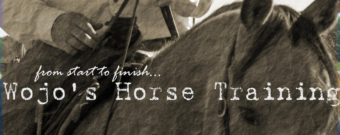 Wojos Horse Training Logo