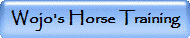 Wojo's Horse Training